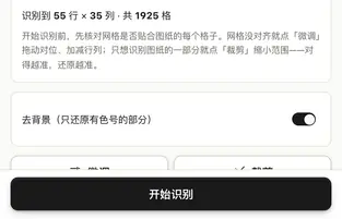 手机核对网格页底部的「开始识别」按钮